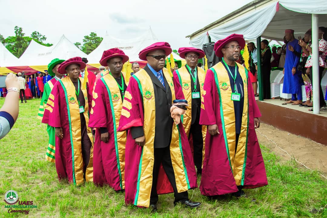 Deans of UAES processing to the Convocation Arena